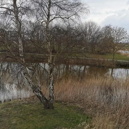 Oldeoog Og, *